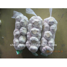 2011 petit emballage normal blanc ail 1x10 10 kg / carton